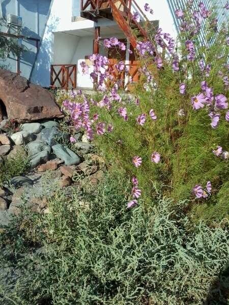 Изображение №5